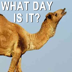 What Day Is It?