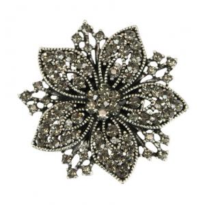 Magnetic Brooches