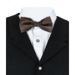 Montgomery Paisley Bow Tie - Brown